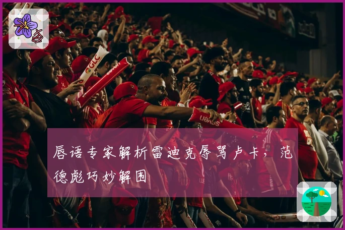 唇语专家解析雷迪克辱骂卢卡，范德彪巧妙解围