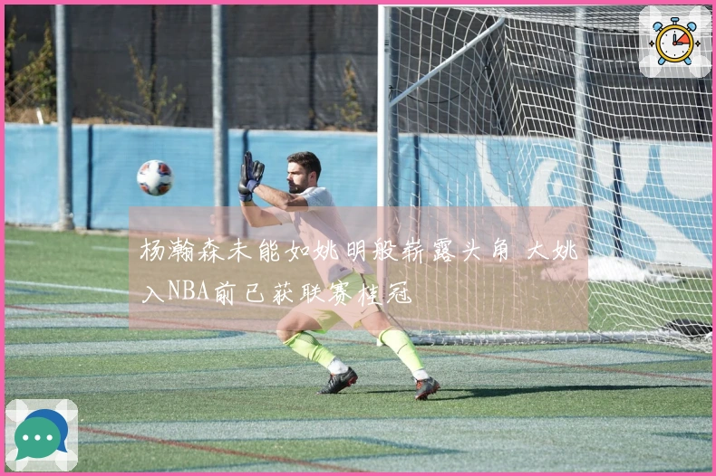 杨瀚森未能如姚明般崭露头角 大姚入NBA前已获联赛桂冠