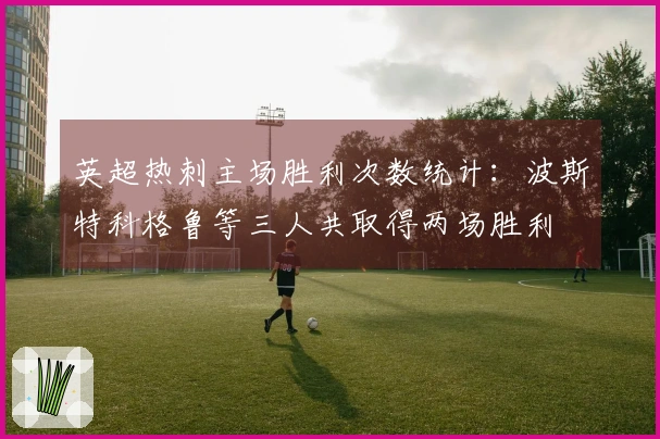 英超热刺主场胜利次数统计：波斯特科格鲁等三人共取得两场胜利